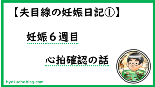 妊娠6週目　心拍確認で先生は言いました「これ心臓ね」　「2mmやね」